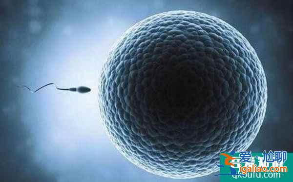 試管嬰兒一次性成功率有多高呢？