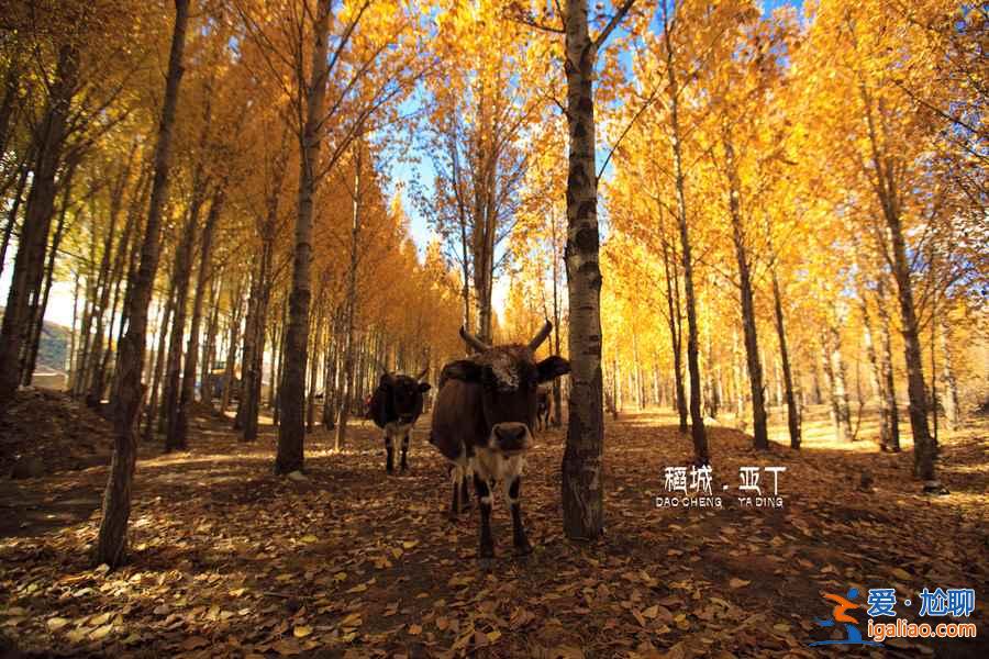 【十一旅游哪里人少】2018十一旅游景好人少的地方？