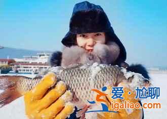 元旦去哈爾濱穿什么,元旦去哈爾濱溫度? 元旦去哈爾濱穿什么,元旦去哈爾濱溫度?