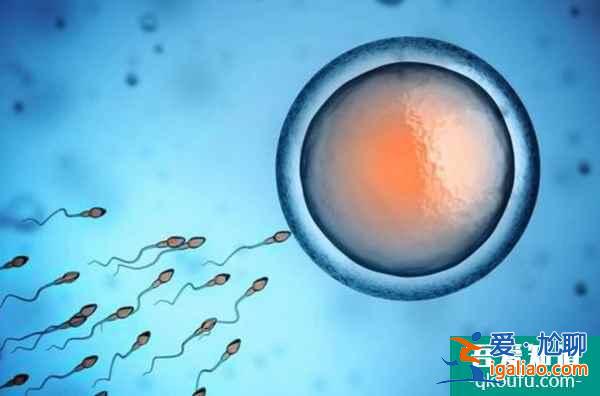 試管嬰兒一次性成功率有多高呢？