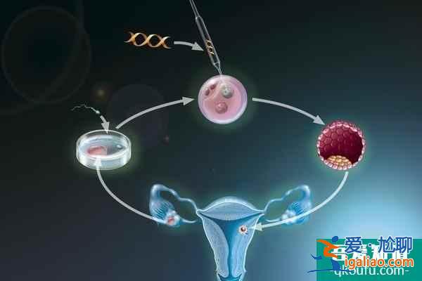 子宮內膜不典型增生可以做泰國試管嬰兒嗎，成功率高嗎？？