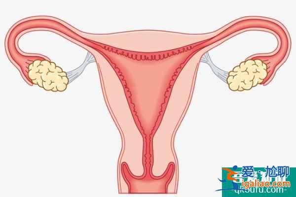 泰國試管嬰兒專家如何助繼發性不孕客人好孕？？