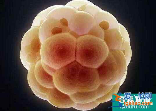 供卵試管嬰兒和常規試管嬰兒的區別在哪里？需要注意什么？？