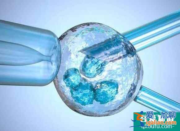 供卵試管嬰兒和常規試管嬰兒的區別在哪里？需要注意什么？？