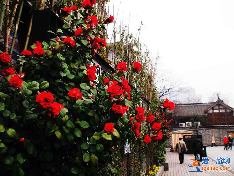 2018四川國慶節旅游景點推薦,四川國慶節去哪玩? 2018四川國慶節旅游景點推薦,四川國慶節去哪玩?