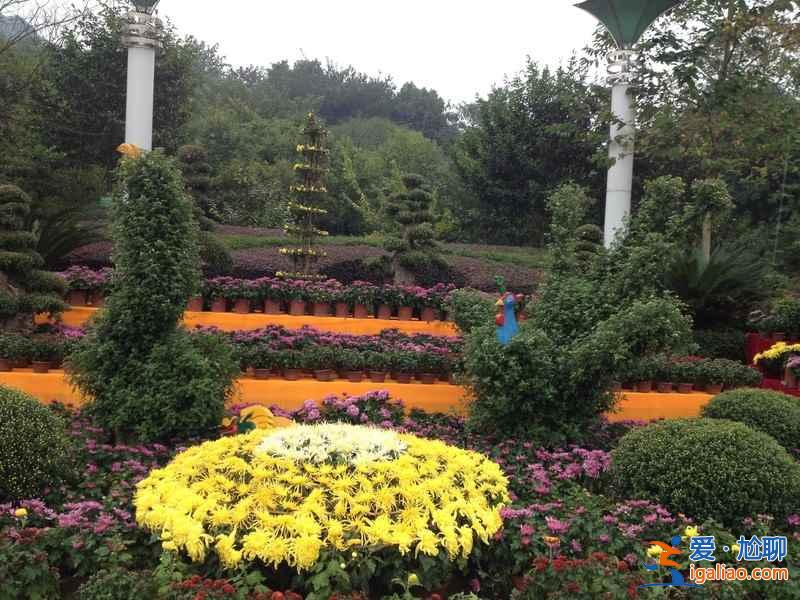 【國慶節江西免費景點】江西十一國慶節307個景點免費迎客？