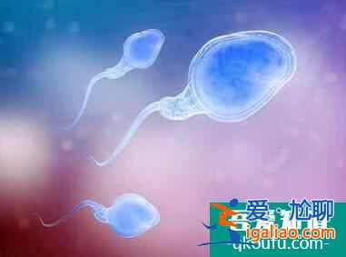 胚胎在試管過程中是都有哪些經歷？從取卵時就要注意??？