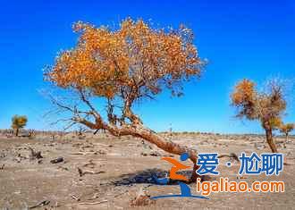 國慶去額濟納人多嗎，2018十一額濟納住宿貴嗎？