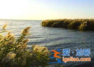 國慶去額濟納人多嗎，2018十一額濟納住宿貴嗎？
