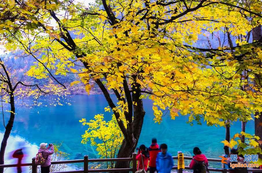 【十一九寨溝天氣】2018國慶節九寨溝天氣怎么樣,九寨溝十一天氣預報? 【十一九寨溝天氣】2018國慶節九寨溝天氣怎么樣,九寨溝十一天氣預報?