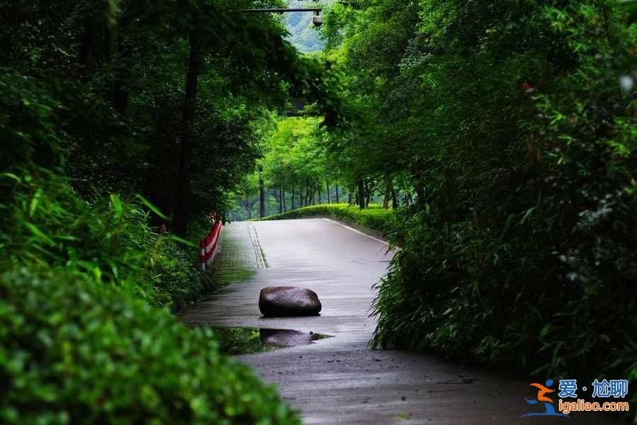 國慶去額濟納人多嗎，2018十一額濟納住宿貴嗎？