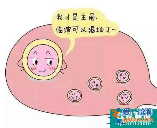 試管嬰兒取卵越多越好嗎？？