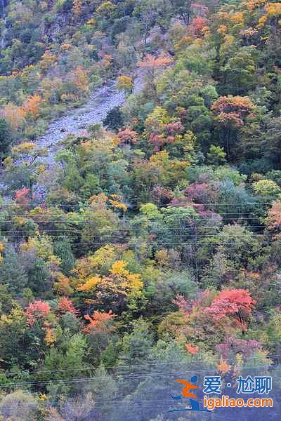 【國慶去哪里玩】2018國慶去哪里玩比較好,國慶旅游推薦? 【國慶去哪里玩】2018國慶去哪里玩比較好,國慶旅游推薦?