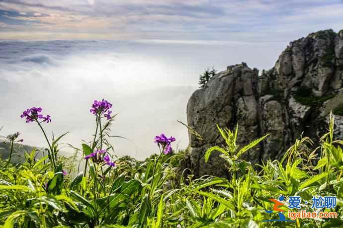 北京怎么去霧靈山,2019端午節(jié)去霧靈山好嗎? 北京怎么去霧靈山,2019端午節(jié)去霧靈山好嗎?