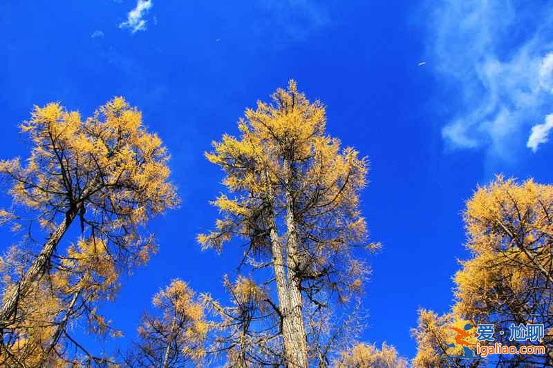 【國慶去哪里玩】2018國慶去哪里玩比較好,國慶旅游推薦? 【國慶去哪里玩】2018國慶去哪里玩比較好,國慶旅游推薦?