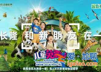 廣州端午節(jié)去哪玩，2019廣州端午節(jié)賽龍舟時間、地點？