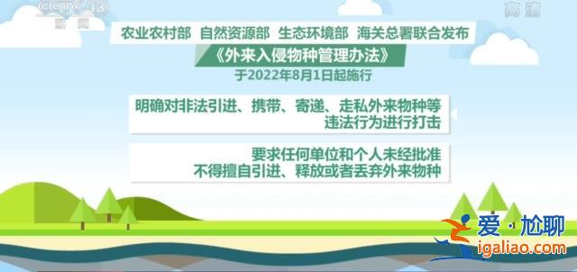 我國首次截獲全球新物種 或攜帶未知病原體傳播疾病？