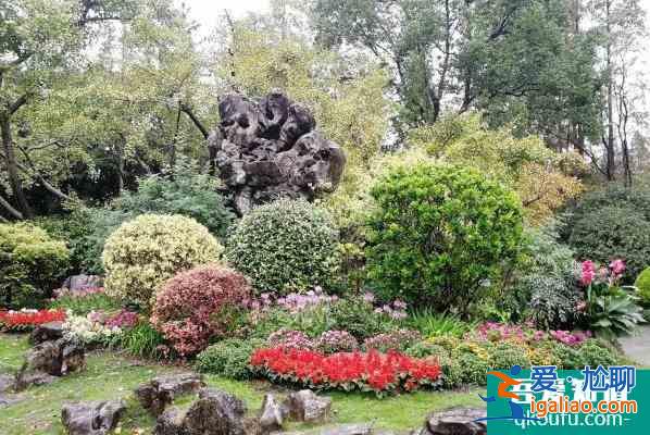 2022上海植物園門票什么時候免費 一日游攻略? 2022上海植物園門票什么時候免費 一日游攻略?