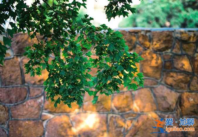 端午節(jié)去青島,2018端午節(jié)去青島哪里玩? 端午節(jié)去青島,2018端午節(jié)去青島哪里玩?