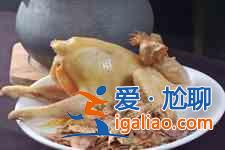墨魚燉雞？