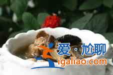 墨魚燉雞？