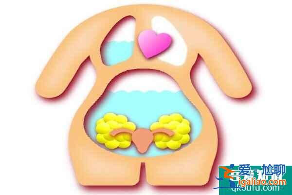 關于泰國試管嬰兒，常見的5個被誤傳的錯誤信息？