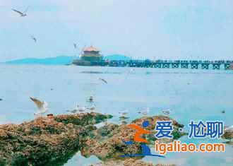 2018端午節去青島，不可錯過的美景與美食？