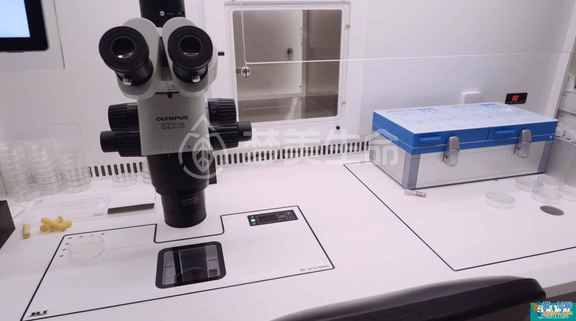 試管嬰兒HRC Fertility Pasadena醫院新院區？