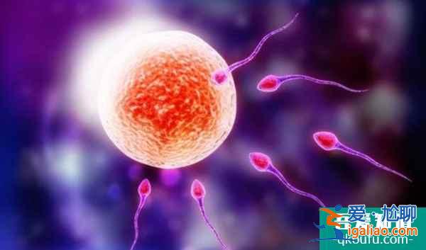 美國試管嬰兒費用為什么貴？這幾點原因你不得不承認？