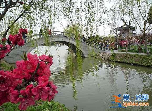 南匯桃花節什么時候開始，2017南匯桃花節時間、地點、門票？