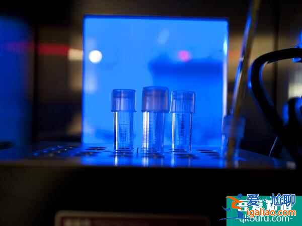 從試管嬰兒技術、設備和服務方面全面了解IVF周期? 從試管嬰兒技術、設備和服務方面全面了解IVF周期?