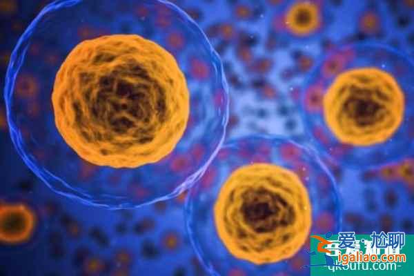 從試管嬰兒技術、設備和服務方面全面了解IVF周期? 從試管嬰兒技術、設備和服務方面全面了解IVF周期?