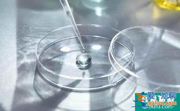 美國試管嬰兒費用為什么貴？這幾點原因你不得不承認？
