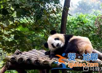 【成都十一天氣】2018成都十一天氣預測,成都國慶天氣? 【成都十一天氣】2018成都十一天氣預測,成都國慶天氣?