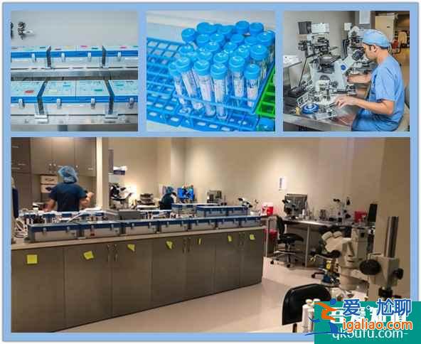 試管嬰兒的五大獨特魅力,您了解嗎?? 試管嬰兒的五大獨特魅力,您了解嗎??