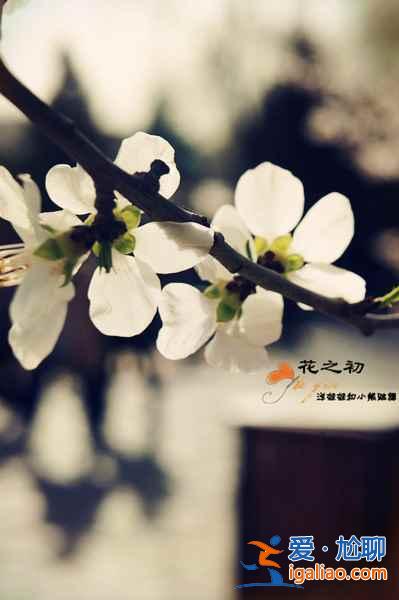 【清明節(jié)北京天氣】2018年清明節(jié)北京天氣,清明節(jié)北京穿什么? 【清明節(jié)北京天氣】2018年清明節(jié)北京天氣,清明節(jié)北京穿什么?