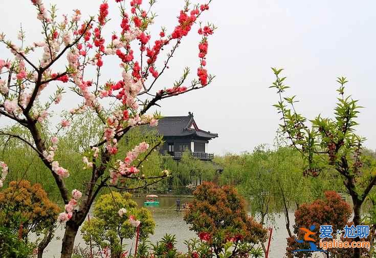 2017南匯桃花節(jié)地址、門票,2017南匯桃花節(jié)? 2017南匯桃花節(jié)地址、門票,2017南匯桃花節(jié)?