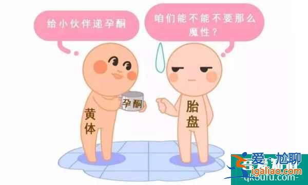 做試管孕酮高了醫(yī)生就不讓移植，來聊聊到底是什么原因！？
