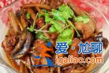 茶樹菇燉雞的做法大全？