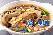 茶樹菇燉雞的做法大全？