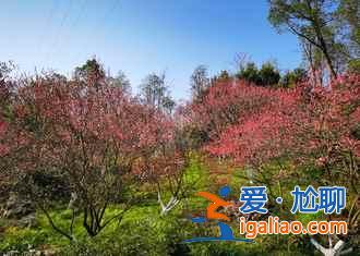 【桃花源】桃花源在哪兒，桃花源記？