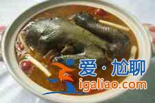 烏雞湯的做法大全？