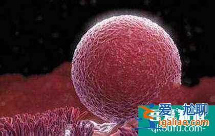 試管嬰兒去醫院生孩子要準備什么? 試管嬰兒去醫院生孩子要準備什么?