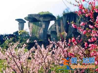 【紹興桃花節】2017紹興桃花節時間、地點、門票，2017紹興桃花節？
