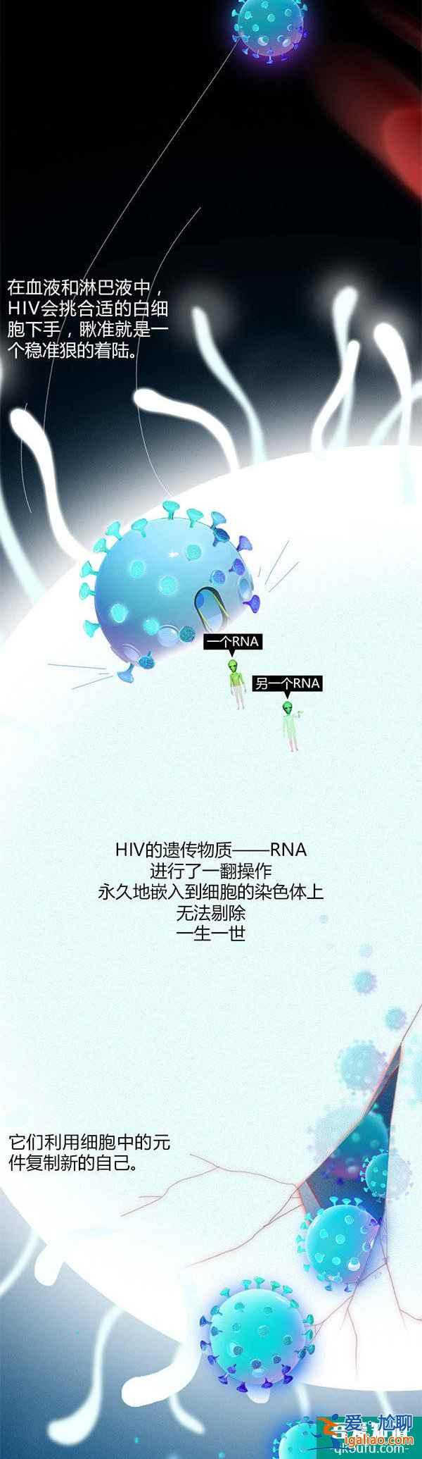 HIV的生育夢——世界艾滋病日 消除歧視 安全孕育？