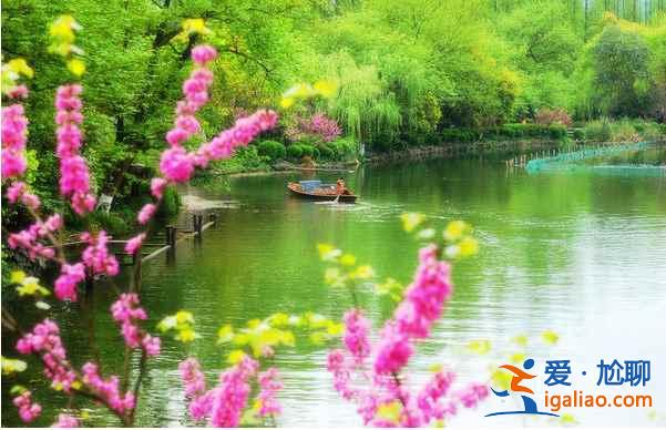 中國最美十大桃花“劫”,人見人愛!? 中國最美十大桃花“劫”,人見人愛!?