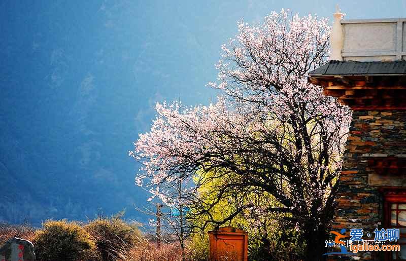 林芝旅游線路,2017林芝桃花幾月開? 林芝旅游線路,2017林芝桃花幾月開?
