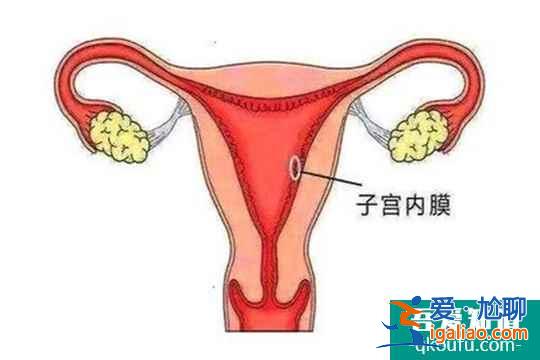 試管嬰兒促排卵內膜薄怎么辦?? 試管嬰兒促排卵內膜薄怎么辦??