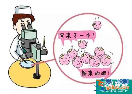 試管嬰兒周期階段是怎么來劃分的？？