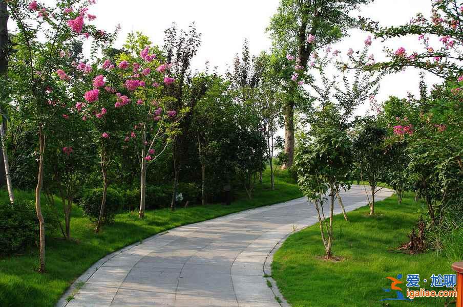 中國十大最熱的城市排名，中國最熱的地方？